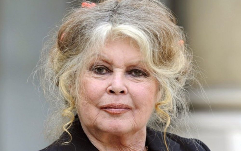 Brigitte Bardot, polémica: "muchas actrices calientan a los productores por un papel"