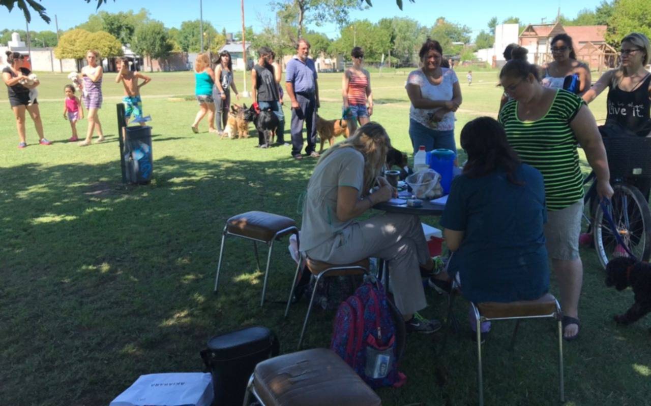 El Municipio vacunó de forma gratuita a 190 mascotas en una nueva jornada en Villa Elvira