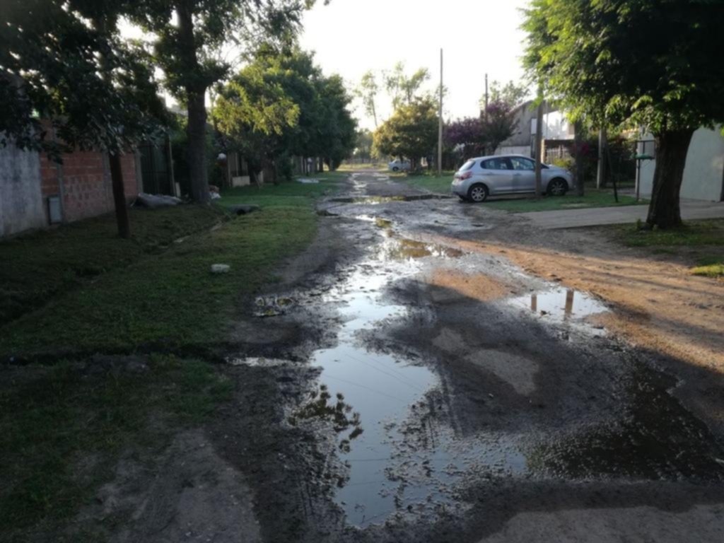 Una pérdida de agua transformó una calle en un pantano