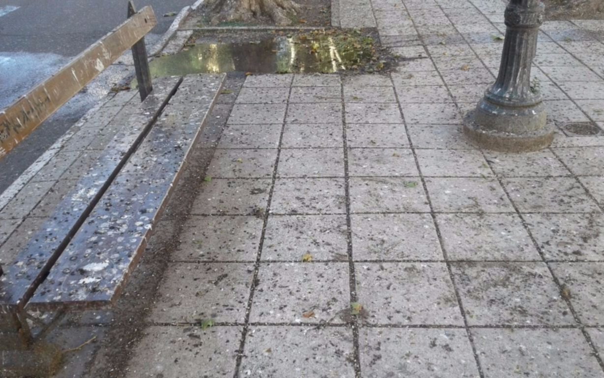 Una rambla lindera a la Catedral  deslucida por los excrementos de palomas
