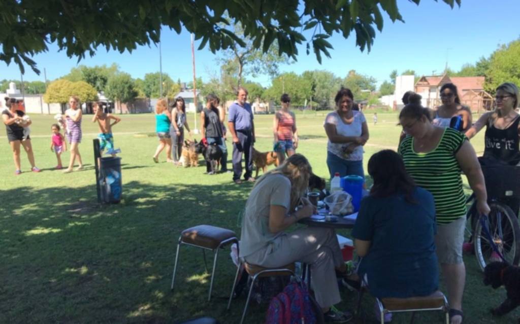 El Municipio brindará una nueva jornada gratuita veterinaria en Hernández 