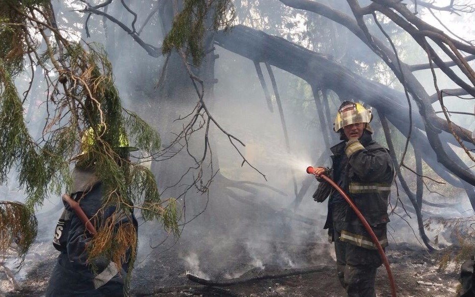 Susto por un incendio de grandes proporciones en un terreno de El Peligro