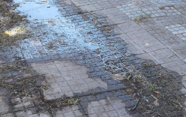 Filtraciones sin fin en Villa Elvira