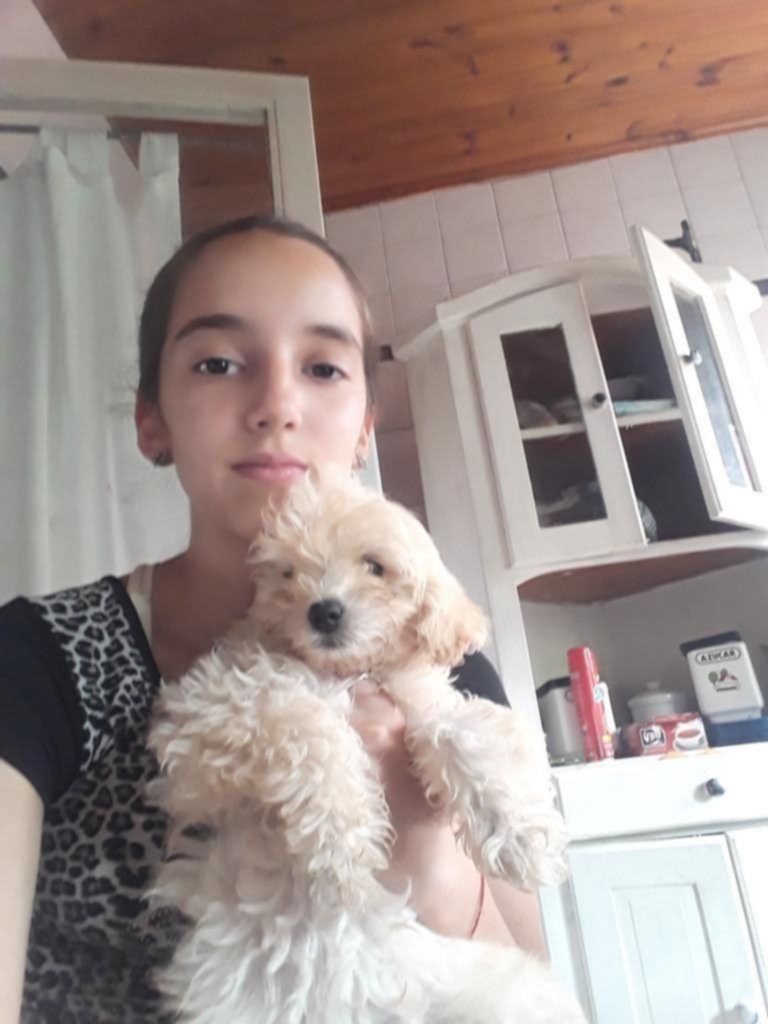 Rincón animal