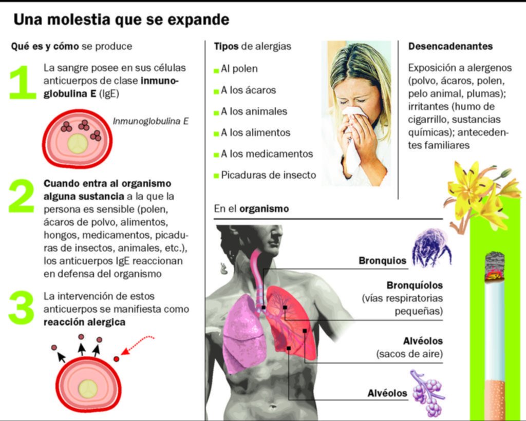 Alergias de verano, un mal de época que ataca desde diferentes frentes
