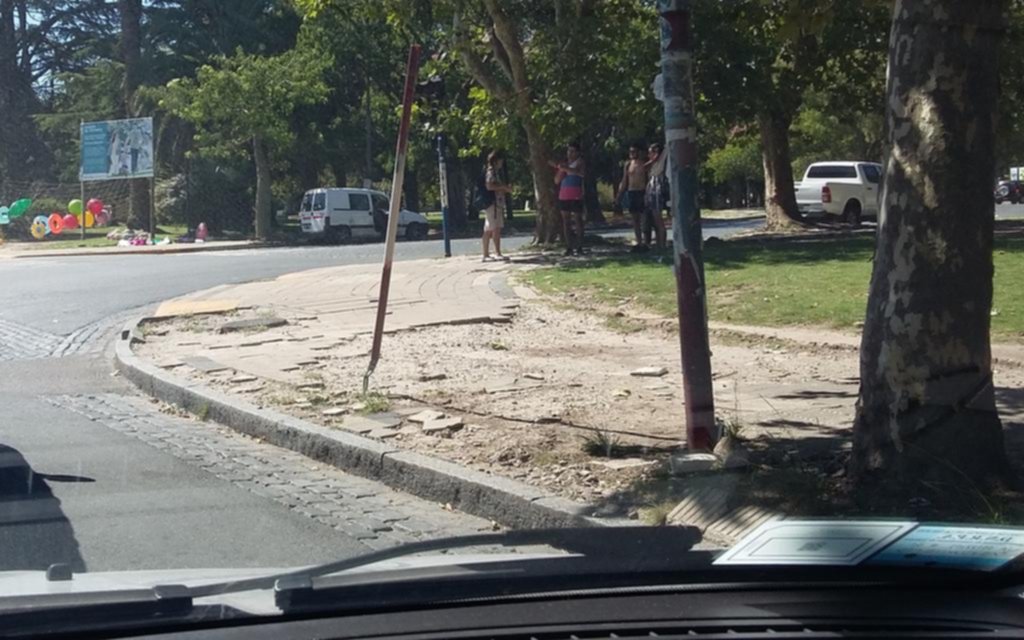 Sin veredas y mucho peligro en el acceso al Bosque