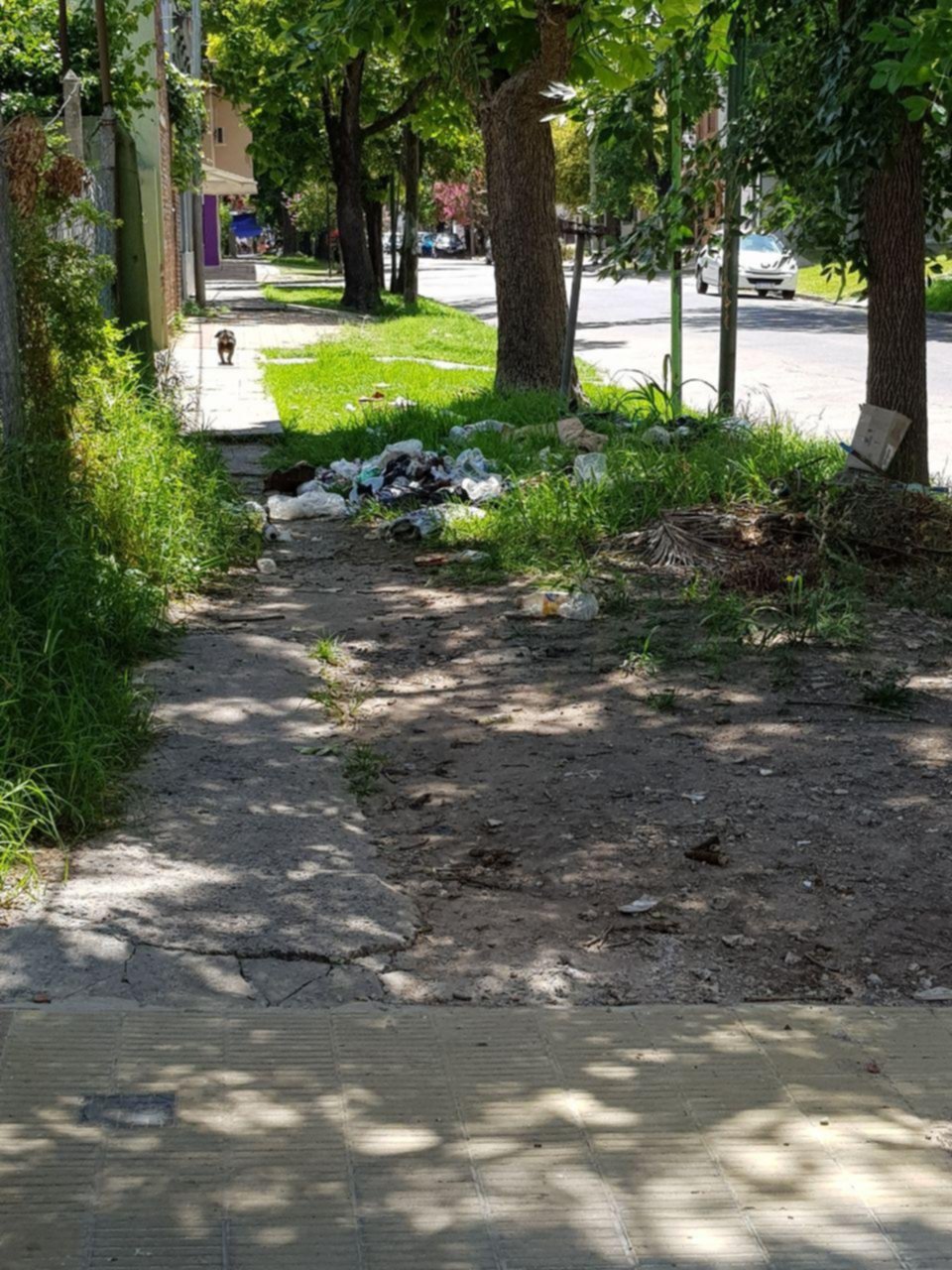 Basura constante y falta de veredas en 40 entre 24 y 25