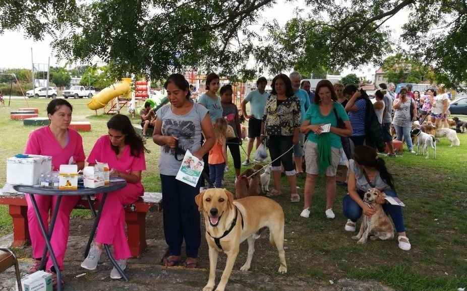 Más de 250 mascotas fueron atendidas en una nueva jornada de atención veterinaria gratuita