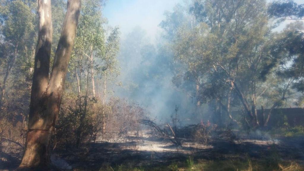 Los incendios forestales no dan tregua: ya les tocó a la reserva de Punta Lara y al Parque Pereyra
