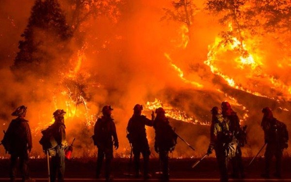 Por los incendios en La Pampa se quemaron 467 mil hectáreas