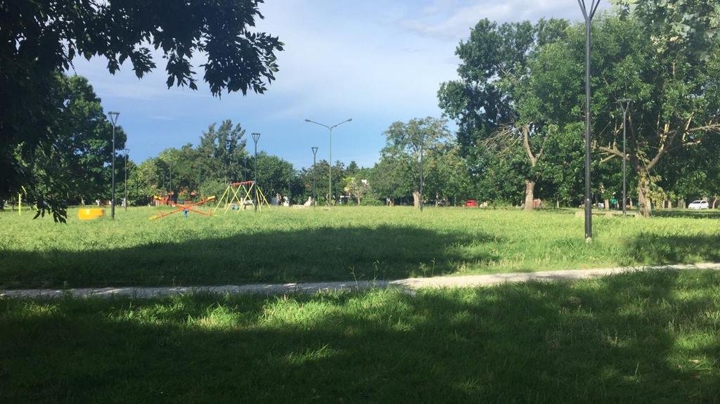 Pastizales y mosquitos en la plaza Mitre de City Bell