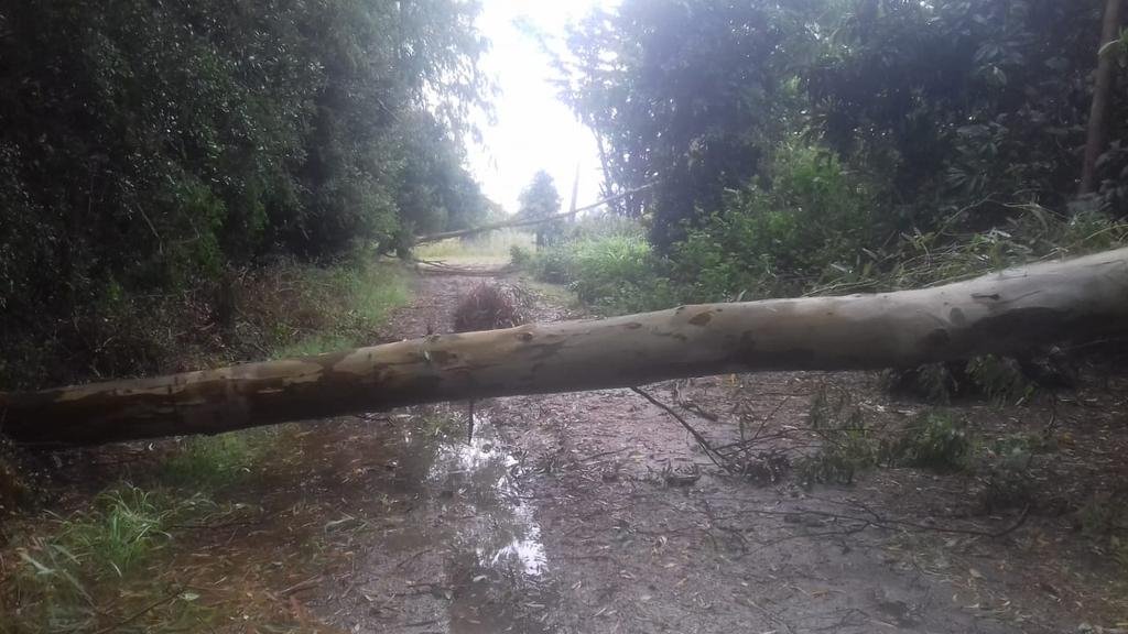 Severos daños en Magdalena tras el temporal