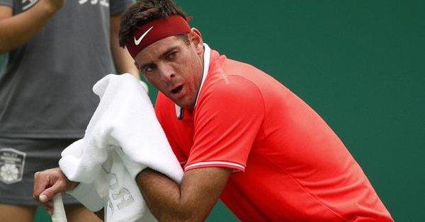 Juan Martín Del Potro se bajó del Abierto de Australia