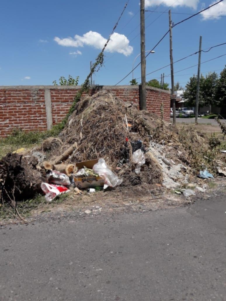 Montañas de basura a metros del Estadio Único