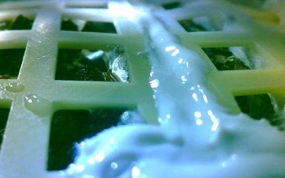 Al final, murió la semilla que había germinado en el lado oscuro de la Luna
