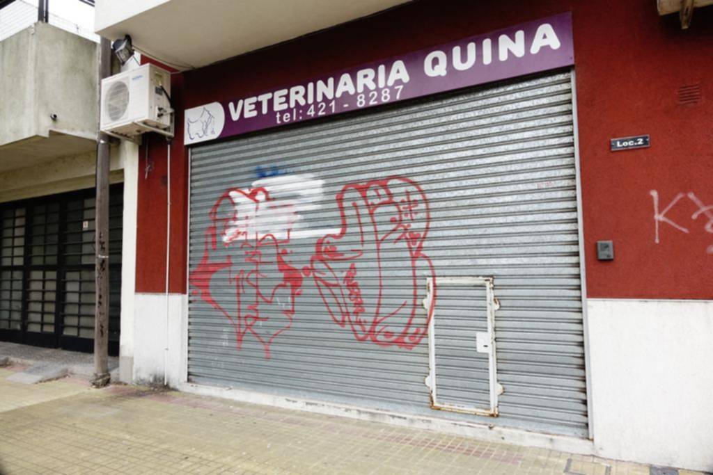 Robaron el ecógrafo y la plata de la caja en una veterinaria de La Loma