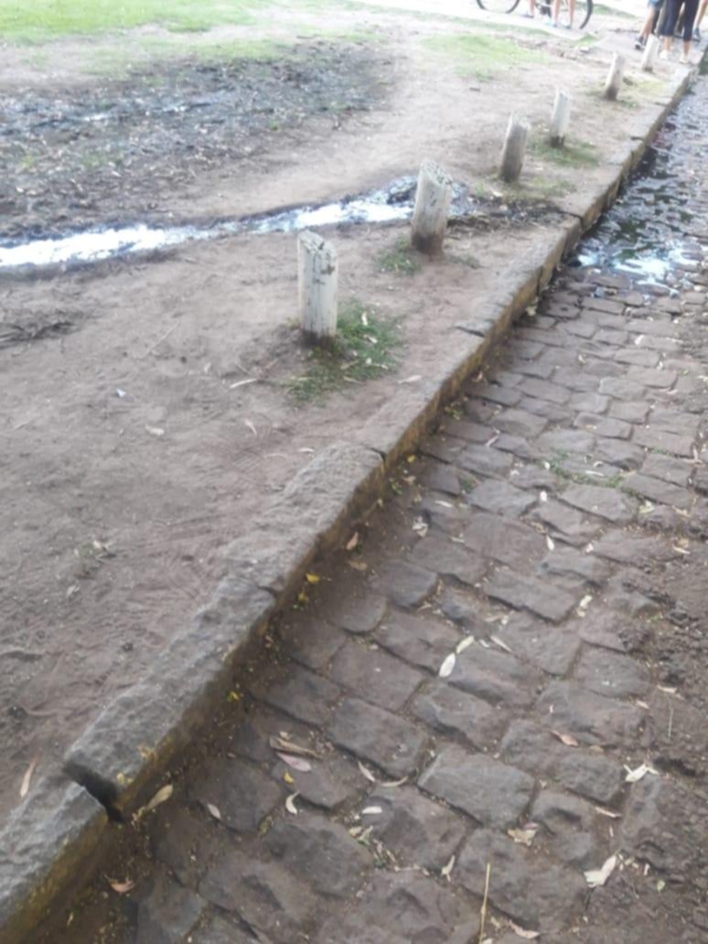Desborde cloacal en el Paseo del Bosque