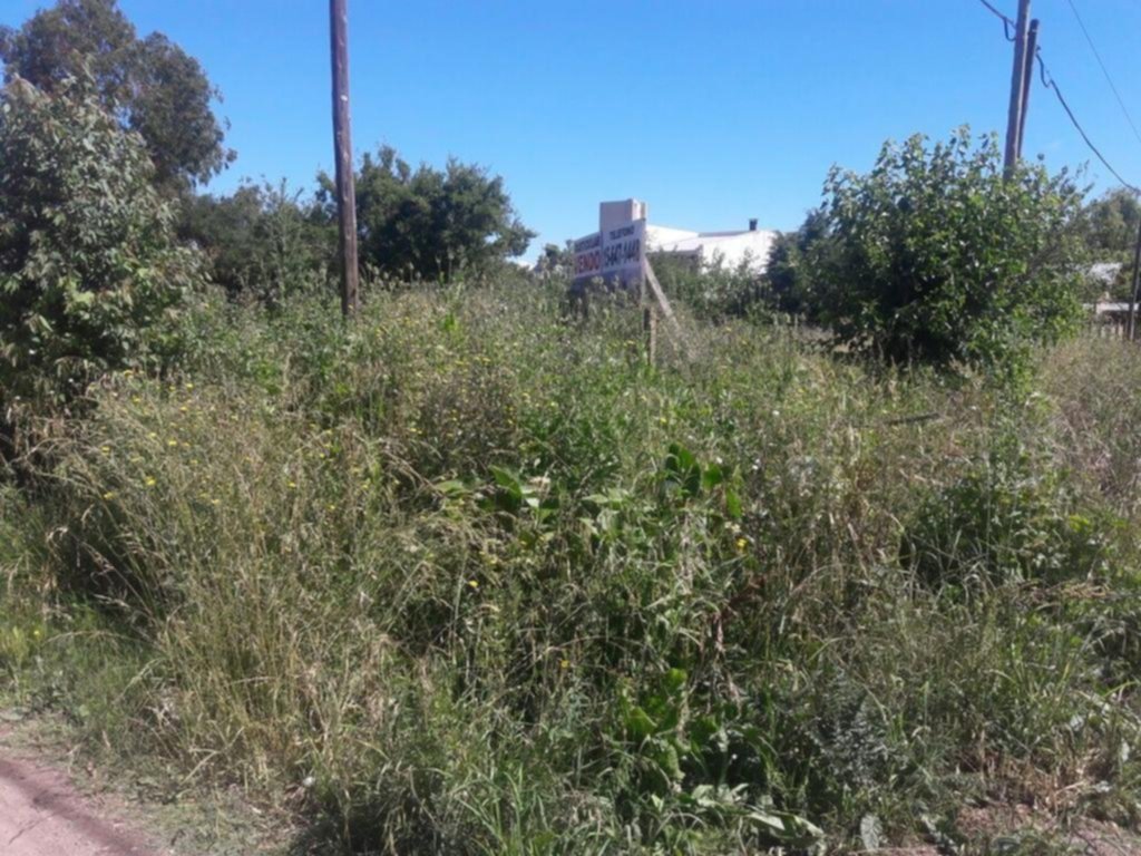 Vecinos con la guardia en alto contra basurales y baldíos por el hantavirus
