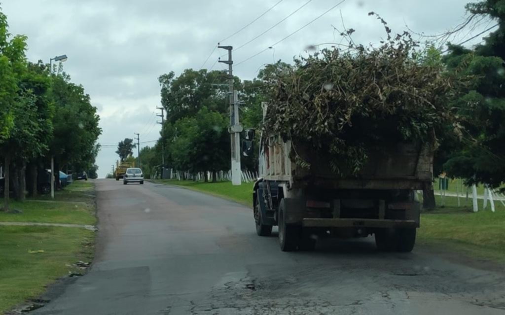 Denuncian que un camión sin patente levanta residuos