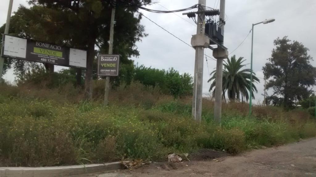 Pastizales que preocupan en un predio de San Carlos