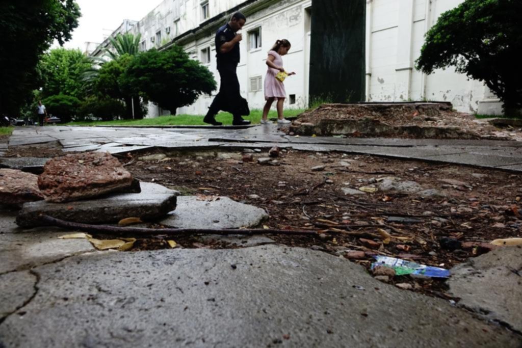 Las veredas de los edificios públicos, en sintonía con las particulares: en ruinas