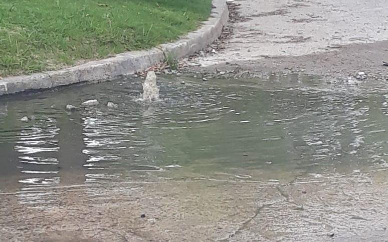 Caudalosa pérdida de agua en El Carmen