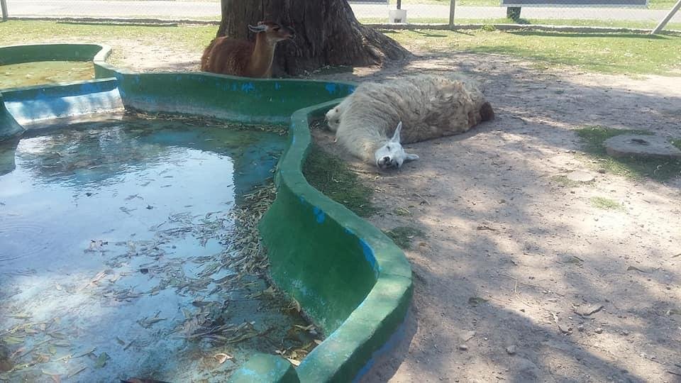 La granja de la República de los Niños otra vez en el medio de la polémica