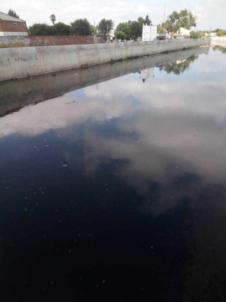 Aguas cloacales en pleno arroyo El Gato