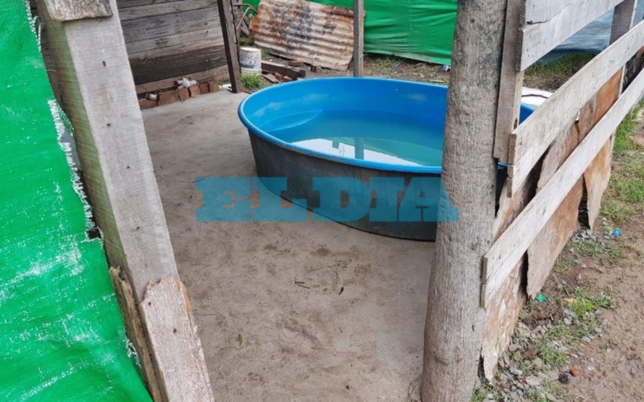 Un bebé de 15 meses murió ahogado en una pileta con 20 centímetros de agua