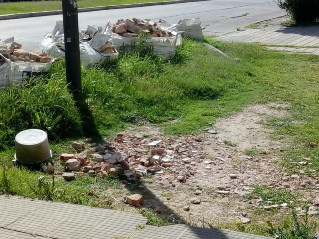 Una vereda en la que se acumulan los residuos y pastizales