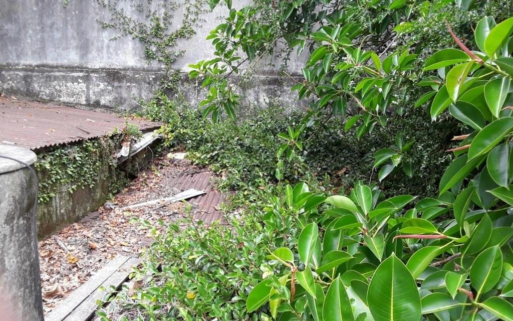 Vecinos preocupados por una casa llena de roedores