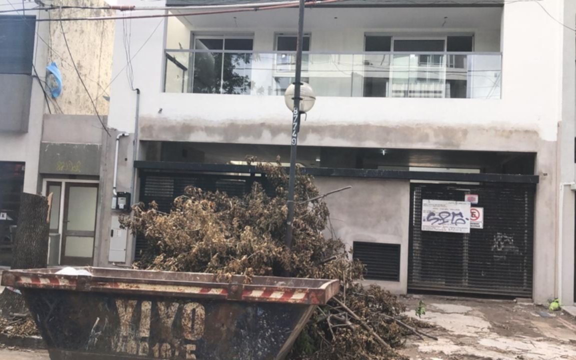 Asegura que aprovecharon el feriado para talar un árbol a metros de Control Ciudadano