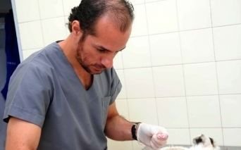 Encuentran muerto al ex director de Zoonosis de Quilmes