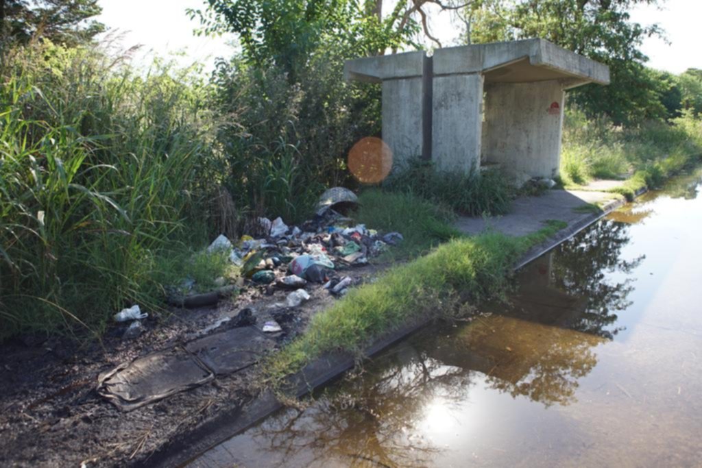 El Parque Pereyra, dominado por basurales, pastizales y otros síntomas de descuido
