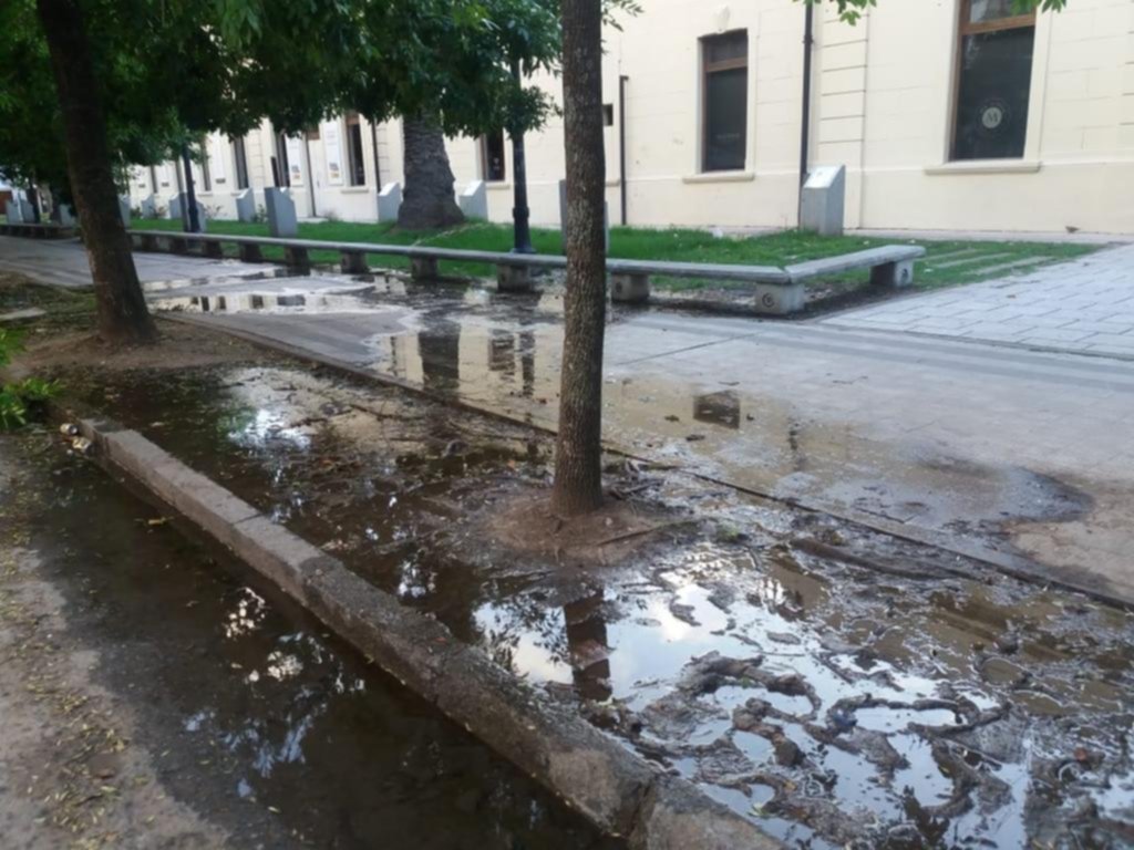 La Ciudad es una exhibición permanente de pérdidas de agua y los vecinos están hartos