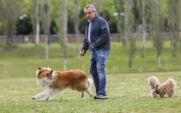 Así celebró Alberto Fernández el cumpleaños de su perro Dylan