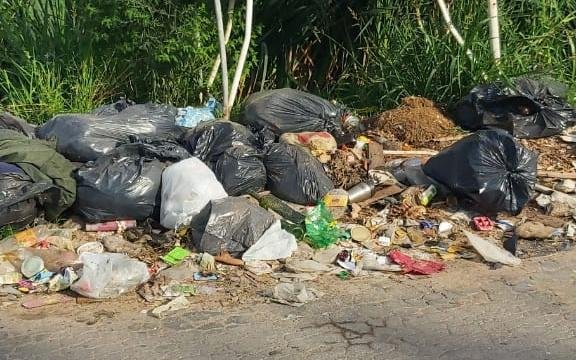 Los “micro basurales” ganan la periferia platense y los vecinos temen por el hantavirus