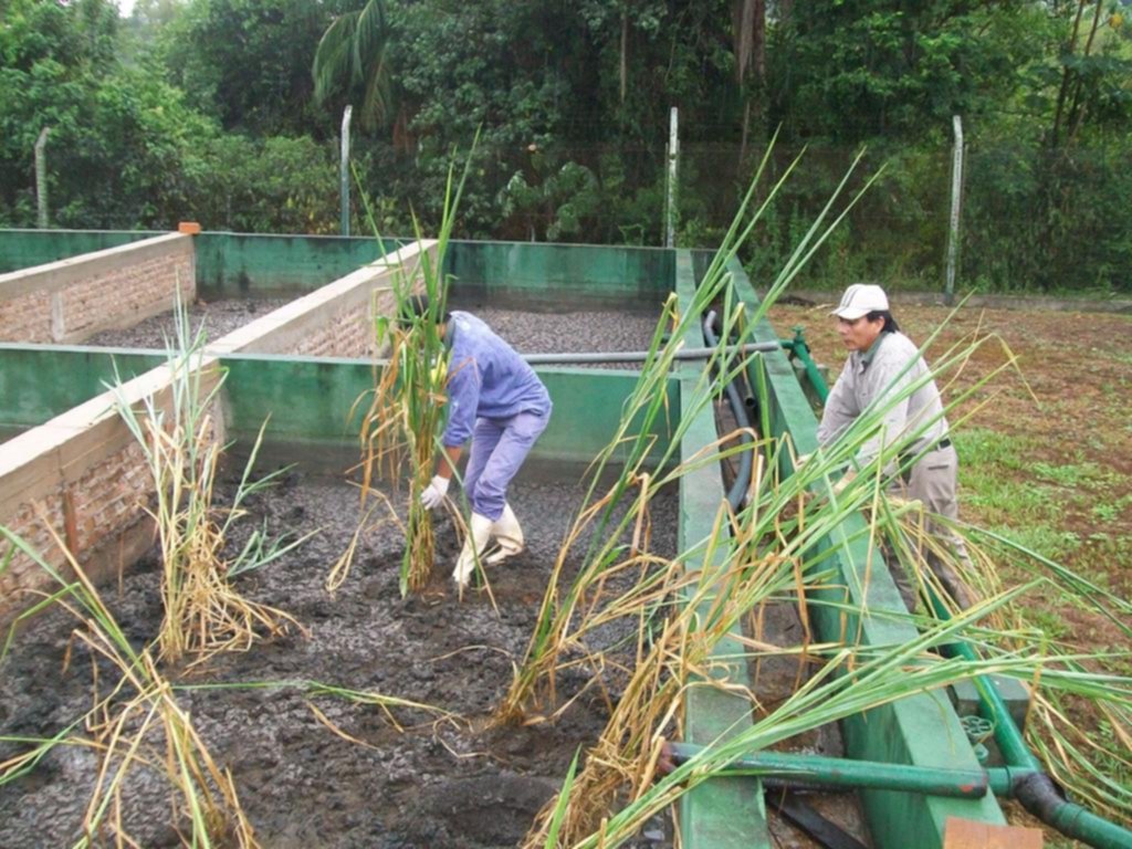 Novedoso aporte platense para tratar agua residual en una de las siete maravillas del mundo