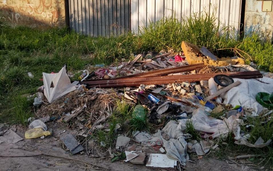 Basural y pastizales en un barrio de Berisso