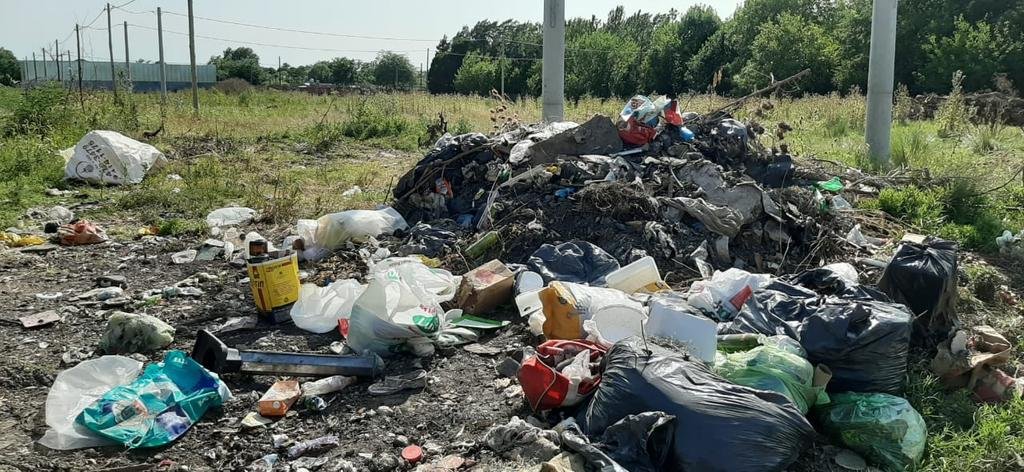 Basural, roedores y olores nauseabundos en 530 y 146