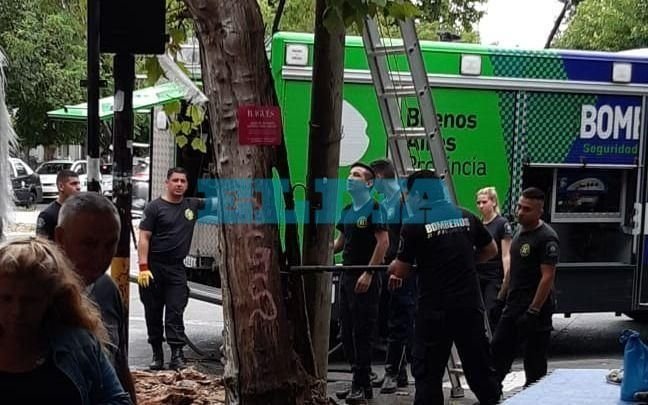 ¿Qué pasó? Misterio por el incendio de un árbol en 1 y 70