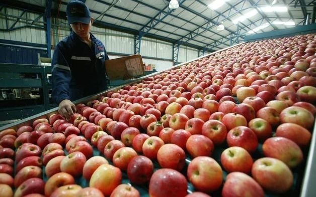 La brecha de precios entre consumidor y productor se incrementó 7,8%