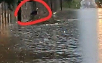 Buscan a un remisero que cayó en una boca de tormentas arrastrado por el agua de lluvia