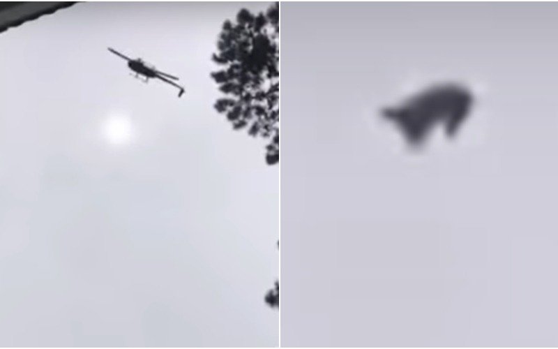 Nicole Neumann y su reacción ante el video en el que arrojan un cordero desde un helicóptero
