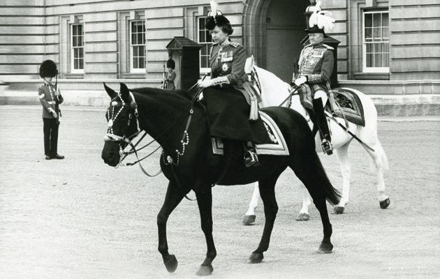 Burmese, su caballo de desfile durante 18 años