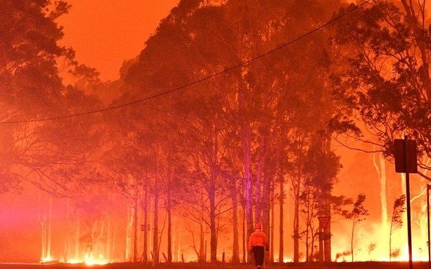 Los incendios están "mutando" por el cambio climático y Argentina tiene zonas "vulnerables"