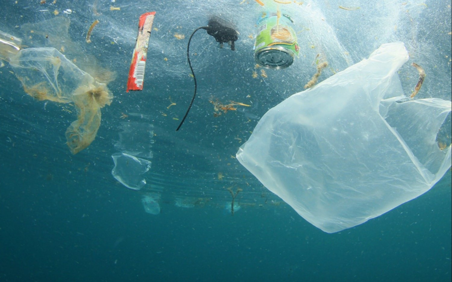 Hasta doce millones de toneladas de plástico terminan en los océanos cada año a nivel mundial