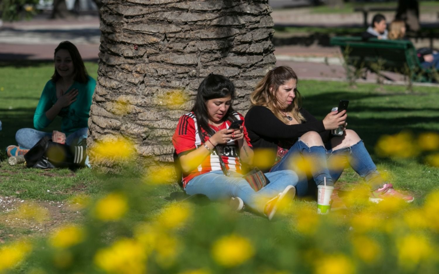 Un jueves a puro sol, pero con 25º de máxima: desde mañana empieza a volver el calor