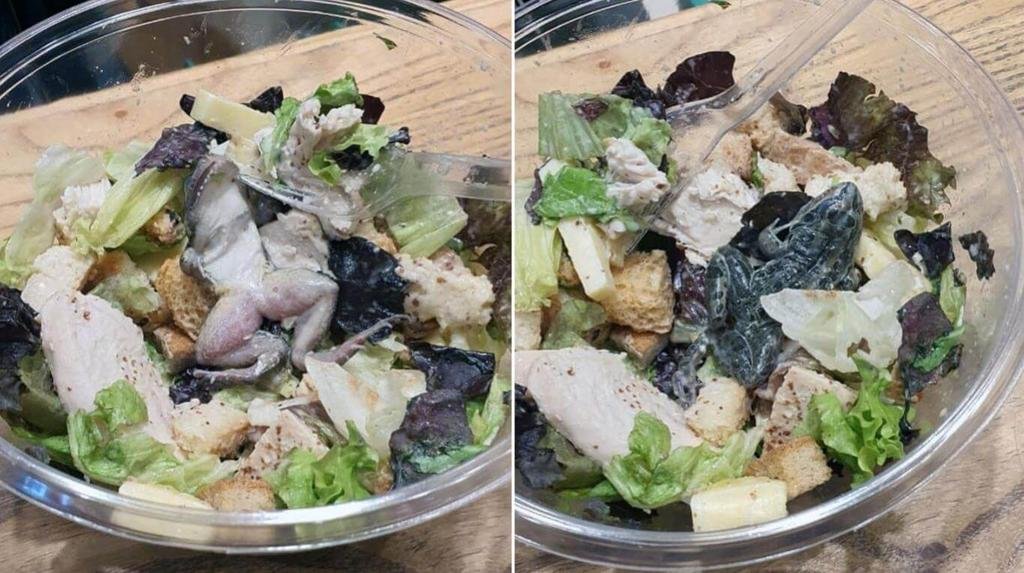 Pidieron una ensalada, y vino con una rana muerta