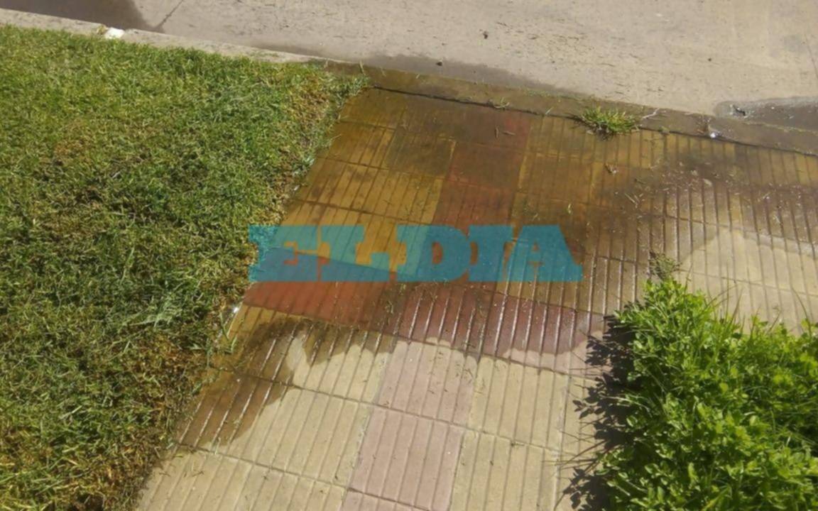 Dos reclamos por pérdidas de agua a los que Absa "no nos da respuestas"